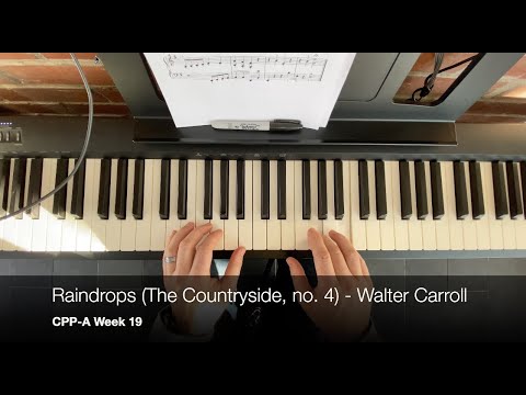 Raindrops - Walter Carroll