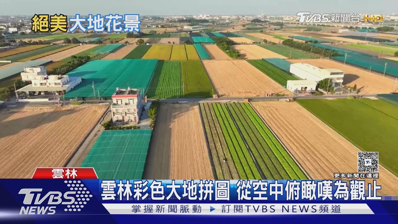 台灣農地如夢幻北海道!雲林彩色拼圖「從空中俯瞰」嘆為觀止