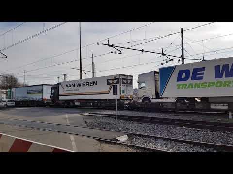 RO.LA IN ARRIVO A NOVARA BOSCHETTO