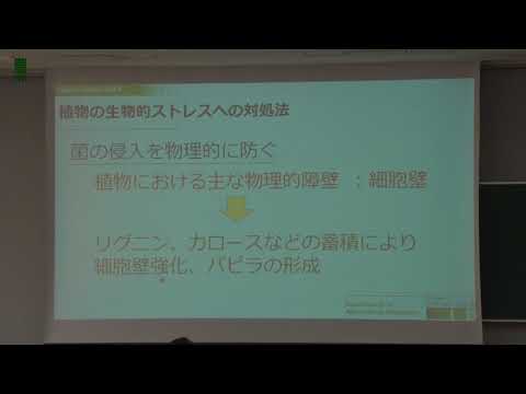 植物のもつ多彩な自己防御戦略（応用生物科学部 農芸化学科 ※2018年4月生物応用化学科より名称変更)