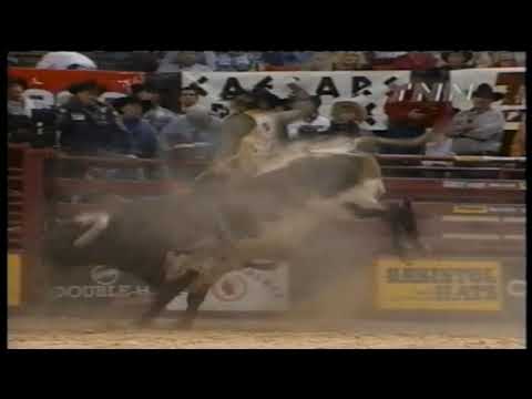 Wooly Bully bucks Nick Buckley - 99 PBR Finals