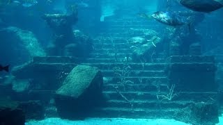 GRANDES ENIGMAS - I - EL CONTINENTE PERDIDO DE LA ATLANTIDA