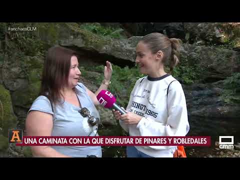 Routes to enjoy nature in Fuencaliente