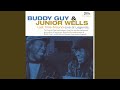 Hoodoo Man Blues (Live)