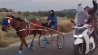 Corsa di cavalli clandestina in strada con le moto e le pistole in pugno