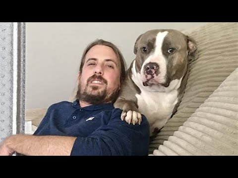 Les chiens et les humains sont très drôles et nous font rire.