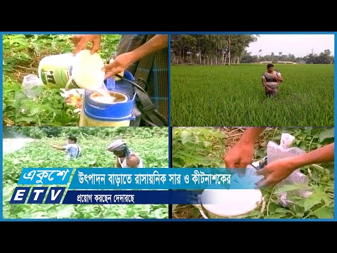 উৎপাদন বাড়াতে রাসায়নিক সার ও কীটনাশকের প্রয়োগ করছেন দেদারছে | ETV News
