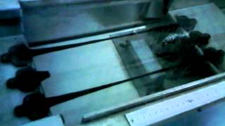 elastic recovery test