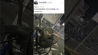 ドラえもんみたいなカニｗｗ