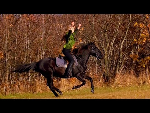 Austieja - The Roof [video]