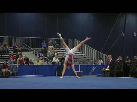 Alex Powarzynski - Floor Exercise - 2018 Winter Cup - Senior Prelims