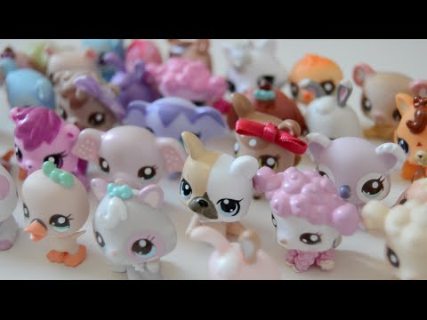My Littlest Pet Shop Baby Collection!