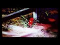 The Fox And The Hound Big Mama Finds Part 1
