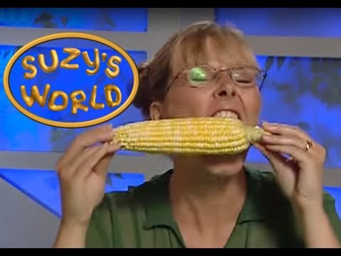 What makes popcorn pop? - Suzy's World