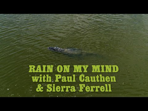Video thumbnail for Rain on My Mind