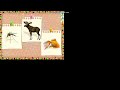 Bandicam 2022 12 13 09 58 32 007