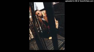 Large Professor – Stress (Remix) (Instrumental)