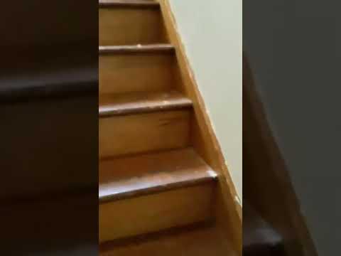 4862 N 66th St - Video 5 of 5
