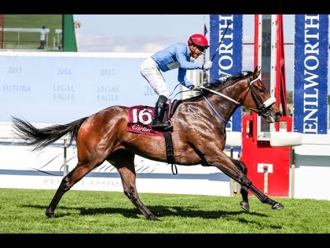 Cartier Paddock Stakes (G1)  2018 -  Oh Susanna