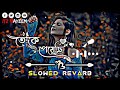 Toke Peyechi🌺 Rahul- Anishaa- Sweet  [Slowed+Revarb] New Song 2024