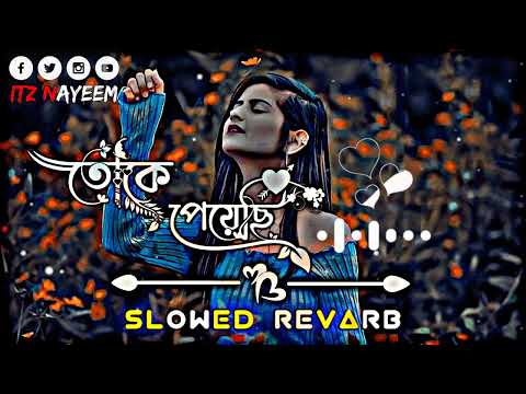 Toke Peyechi🌺 Rahul- Anishaa- Sweet  [Slowed+Revarb] New Song 2024