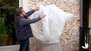 Voile D'hivernage Plante, Voile Hivernage Olivier, Voile Dhivernage