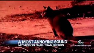 Annoying Sound in Forest Grove Oregon February 2016