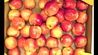 Youth - Shout it out loud