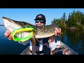Video Thumbnail for Fishing with a real EEL JIG 