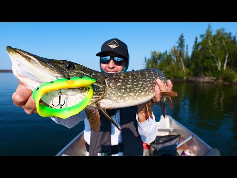Fishing with a real EEL JIG 
