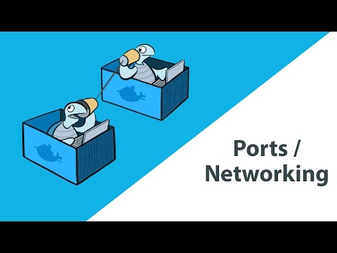 Docker Ports Networking