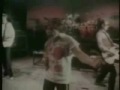 The Story of BO DIDDLEY -  Eric Burdon & The Animals (incl. lyrics)