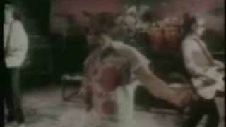 The Story of BO DIDDLEY -  Eric Burdon & The Animals (incl. lyrics)