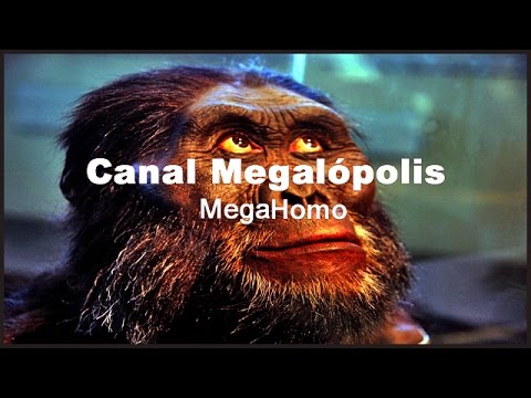 LA ODISEA I (Homo, La Odisea de la Especie)  -  Documentales