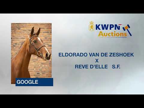 ELDORADO VAN DE ZESHOEK   X   REVE D'ELLE   S F