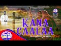 New Kana Caalaa F Taa Dn Geetuu Qoraasaa Faaruu Afaan Oromoo Haaraa