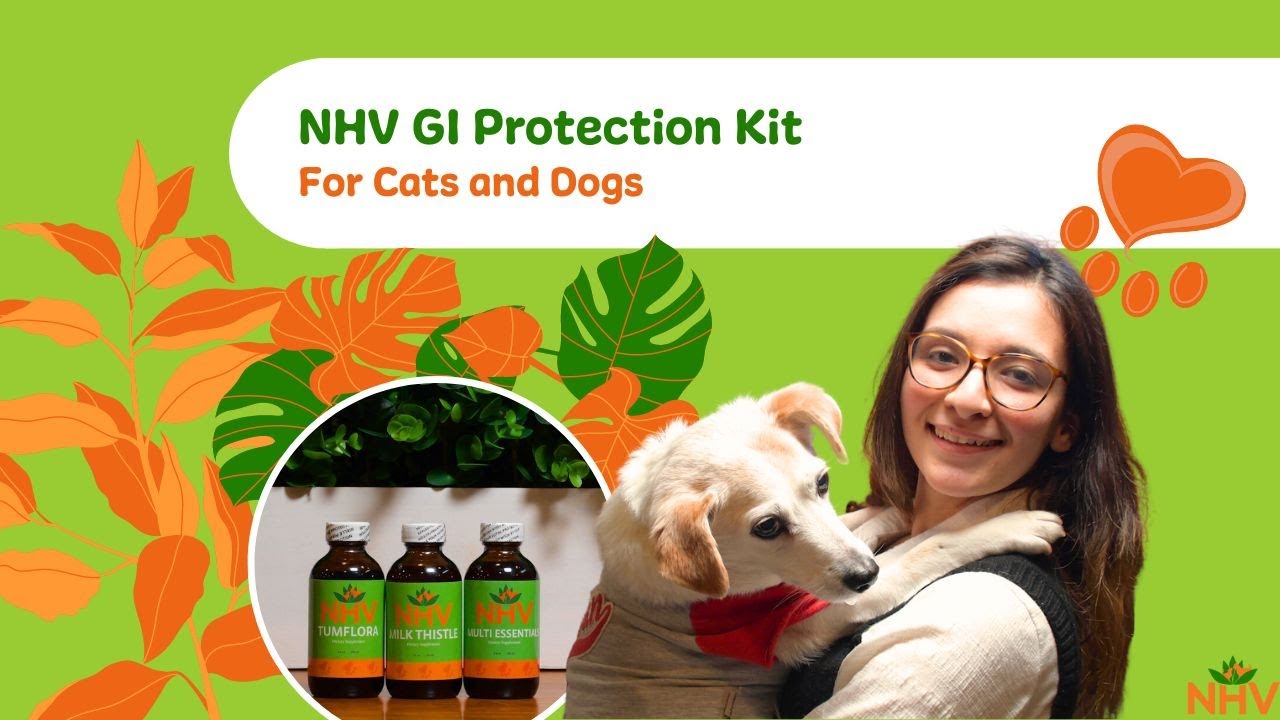 NHV GI and Liver Protection Kit For Cats and Dogs