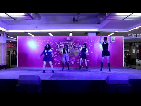 190323 December cover BLACKPINK - YokoAn's Love Forward 'Living Rose' 2019