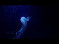 Psychedelic Cinema: Aware, Gabriel Loci - open air