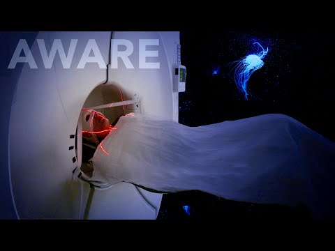 Trailer-Vorschau: Aware – Reise in das Bewusstsein