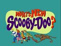 All The Scooby Dooby Doo From What S New Scooby Doo