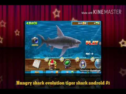 Hungry shark evolution tiger shark android #1