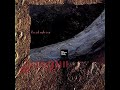 David Sylvian - Silver Moon (LYRICS)