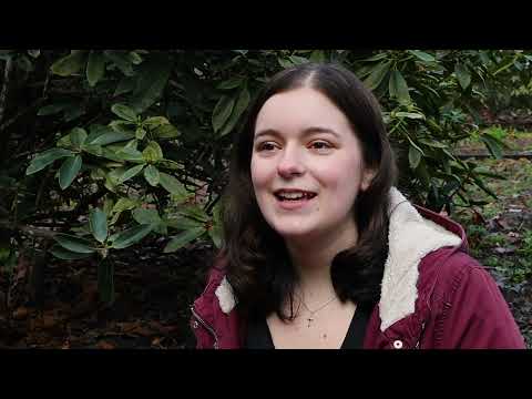 Witness21 Editor  2024 12 03