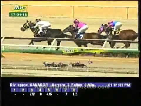 CAPITAN NEGUS Debut La Rinconada Domingo 17 de enero de 2016