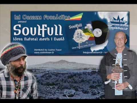 idren natural meets idavid soulfull promo video