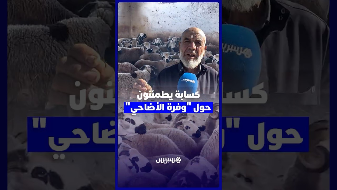 كسابة يطمئنون المغاربة حول وفرة الأضاحي ويقرون غلاء الأعلاف وسنوات الجفاف رفعت الأثمان thumbnail