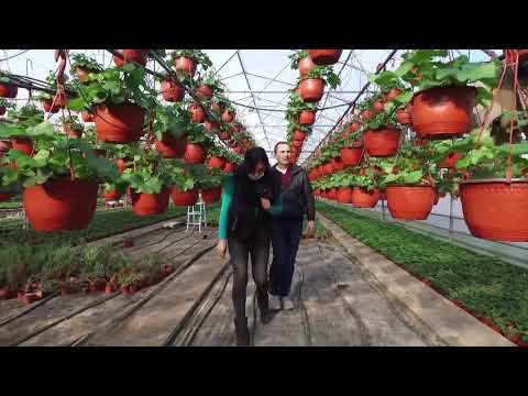 Naša priča 04.02.2021. NAJAVA