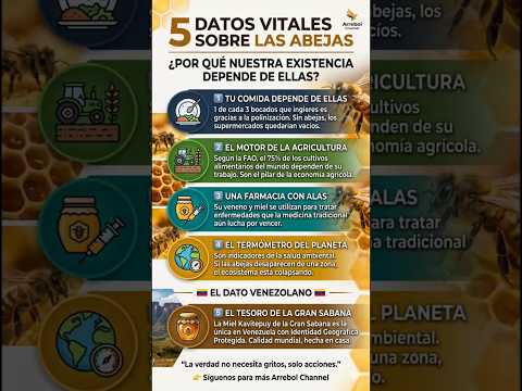 5 Datos Curiosos de las Abejas 🐝 #shorts