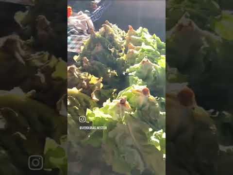 Hoje é dia da Feira do Produtor rural de Alto Paraíso